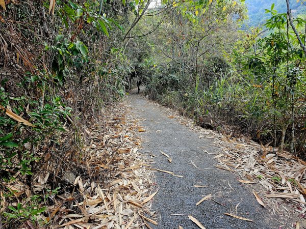 小百岳集起來-三腳南山2184531