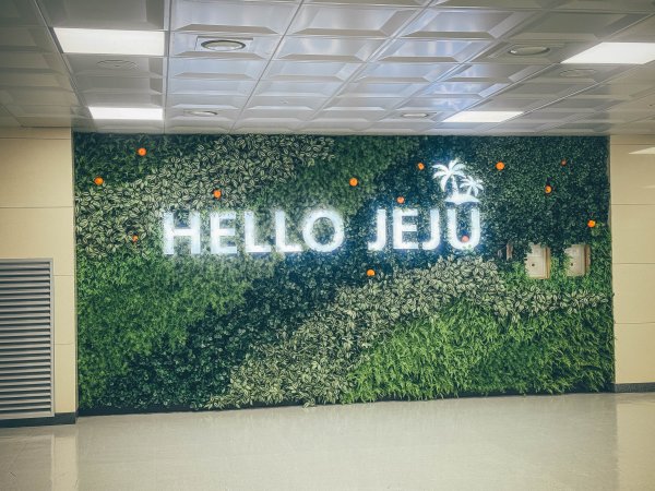 2026 偶來小路437公里認證3028700