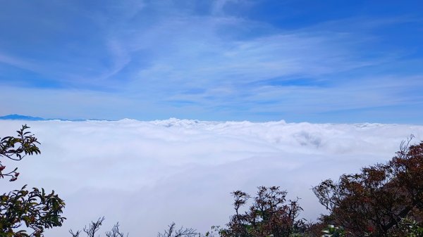 鳶嘴山美呆了~滿滿的雲海~1884282