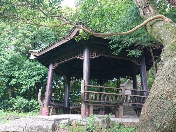 貴子坑親山步道1715222