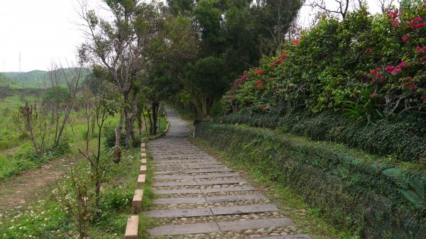 竹坑南寮步道登山健行趣(步道)1561531