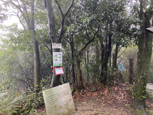 尋覓雨霧中的獅子|獅仔頭山|Mt.Shizaitou|隘勇線|峯花雪月2384995