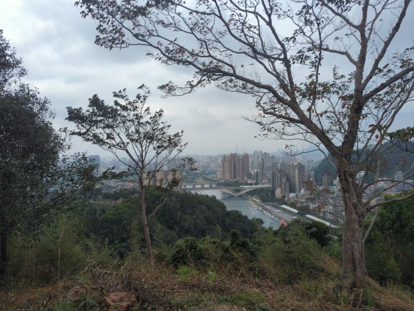 2025.12.14－微笑山線：【二格山系】和美山螢火蟲段2966251