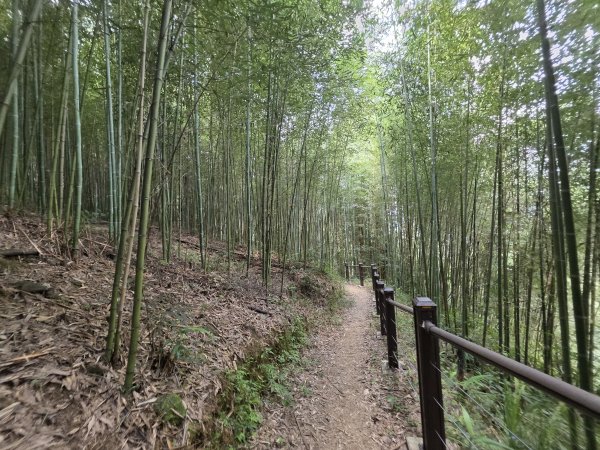 [皮皮獅探險隊-10/10] 2025_0816 白蘭溪古道