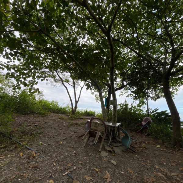 20251130_棚集山+斜坡上藝術節（屏東小百岳）2968597