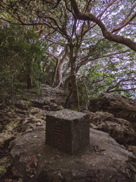 【打狗山】北柴山步道 - マジックアワー1476647