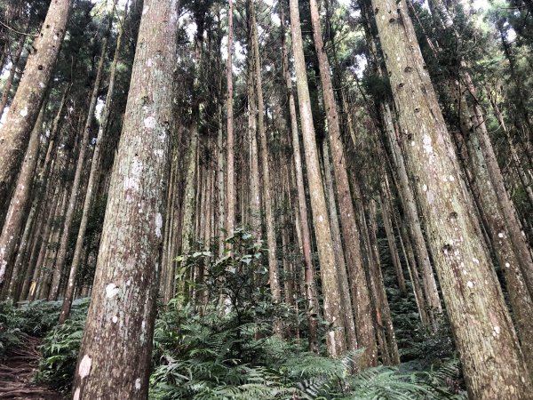 2020/09/13高島縱走P繞1101688