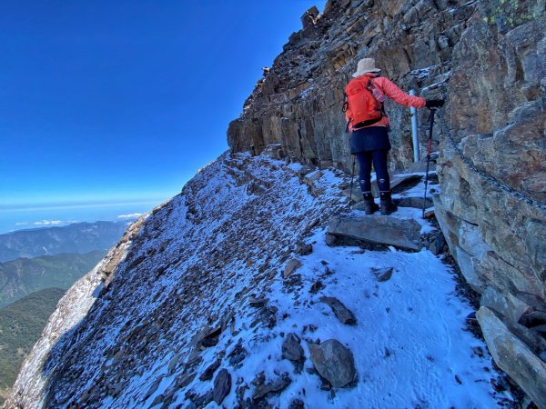 玉山主峰 四月雪 東埔山 杜鵑綻放1663008