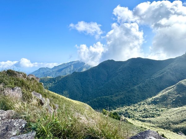 小觀音西峰 二子坪步道 小油坑山3129482