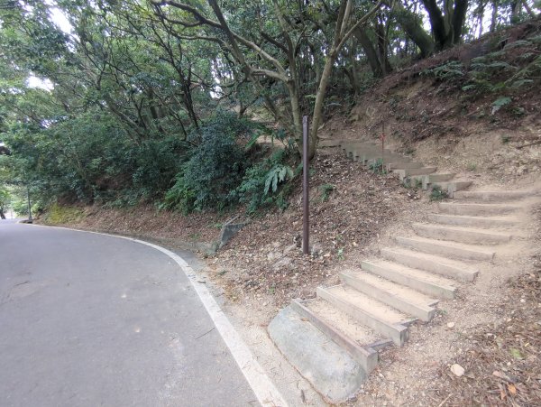 2025.08.30－微笑山線：【大棟山系】2874483