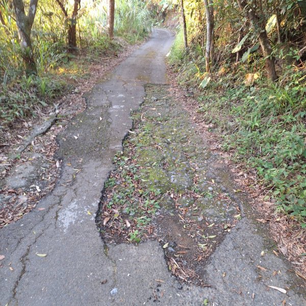 【小百岳50】集集大山完成...2695658