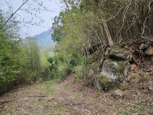 20230409那羅山、煤源山、大混山、道下山O型2141957