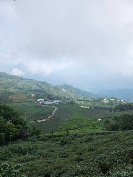 20260921 樟湖生態國小登後棟仔山挑筍古道上大、二尖山3121215