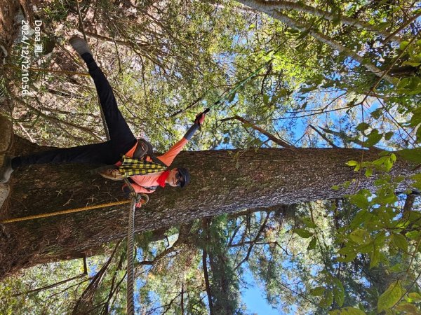 【谷關七雄】波津加(H1771.6m)肉腳配速成功2670441