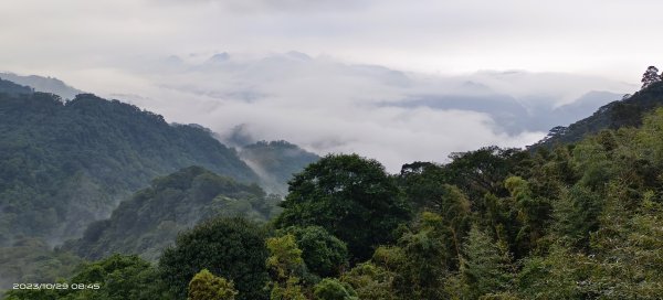 跟著雲海達人山友追雲趣-苗栗泰安烏嘎彥&首登小百岳-獅潭仙山2330643