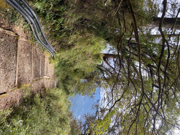 1131215大塔山步道2669091