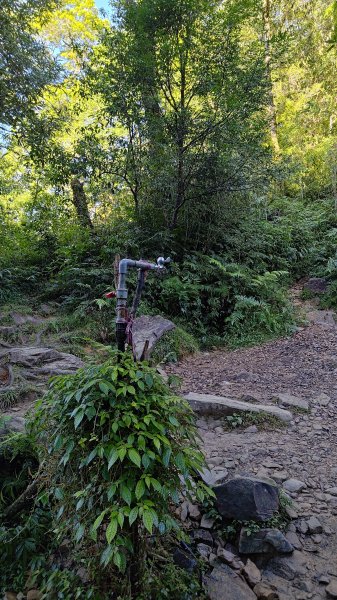 棲松縱走未竟2918305