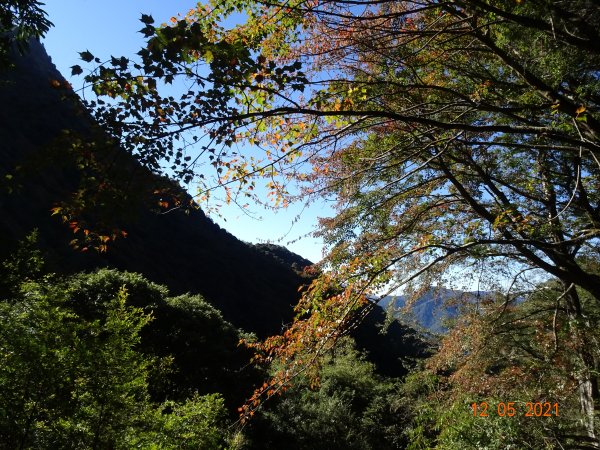 石水山及玉山林道1539587