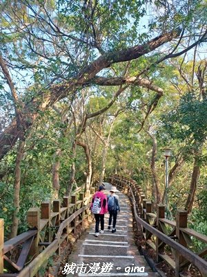 【新竹東區】十八尖山x十八尖山東峰x石家魚丸x東門倆冰糖葫蘆x城隍廟鄭家蛋糕2984202