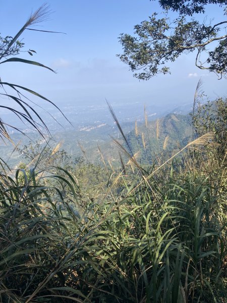 20260219九龍山+崩山+黑石崁山南峰+黑石崁山+凍仔頂山3002563
