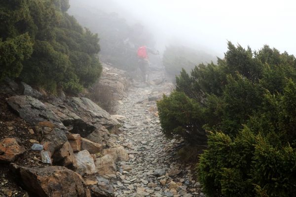 玉山群峰~淒風霧雨砥礪山行119119