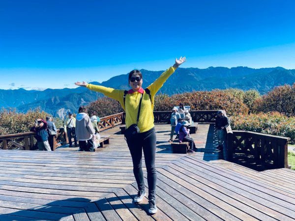 20251209 阿里山-小笠原觀景平台、祝山觀日步道2959799