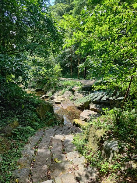 環七星山人車分道步道-陽金公路段 - 走遍陽明山尋寶任務2255022