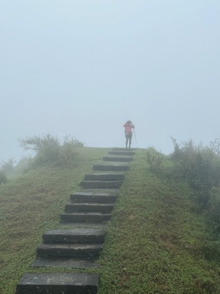 灣坑頭山(小百岳#82)2884248