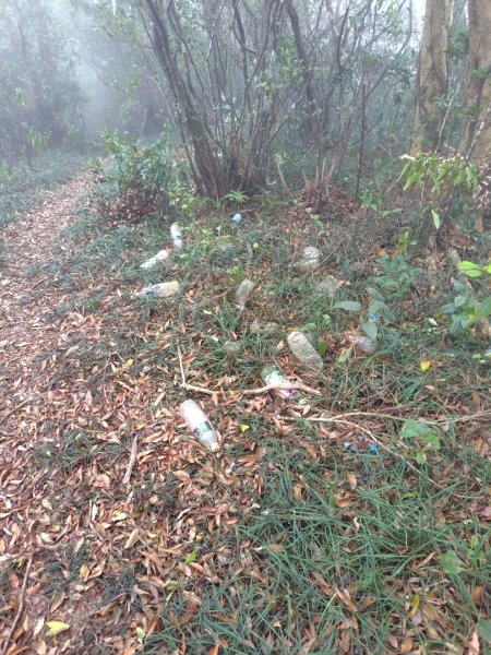 白藍狐貍出狐貍尾/狐貍縱走2796375