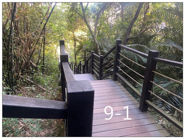 軍功寮山、大坑9、7、6、9-1步道 O型一圈2950837