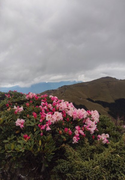 合歡東峰1500170