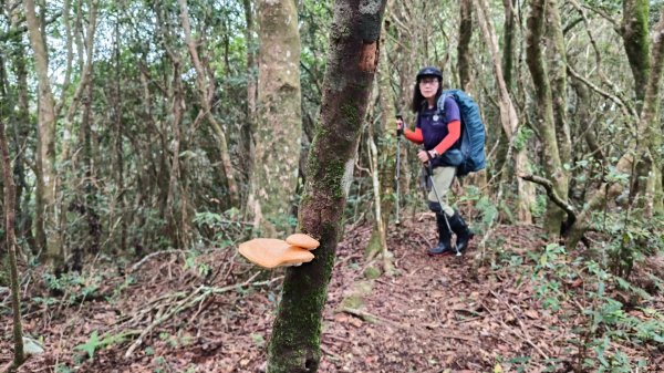 大混李棟重訓2883619