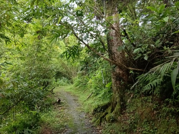 平溪區善覺寺古道(步道)去回2855356