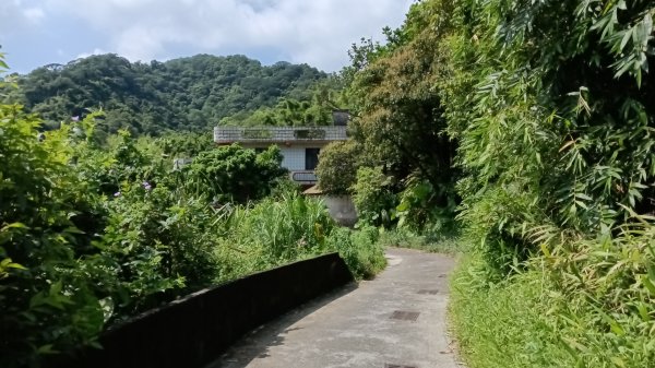 基隆市觀音湖山-東勢坑山-東勢大崙-消墾嶺古道-暖東峽谷步道O型3100563