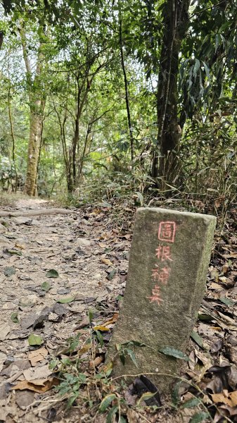 【撤退是智慧而非勇氣】17訪魔王小百岳-尾寮山。2995105