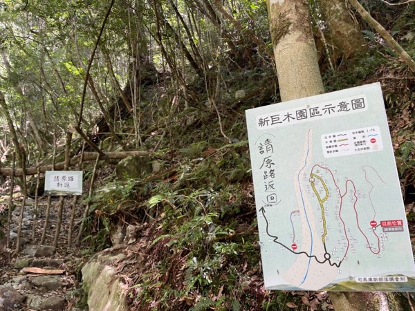1140825司馬庫斯新巨木園區-司立富瀑布-部落觀景台2871210
