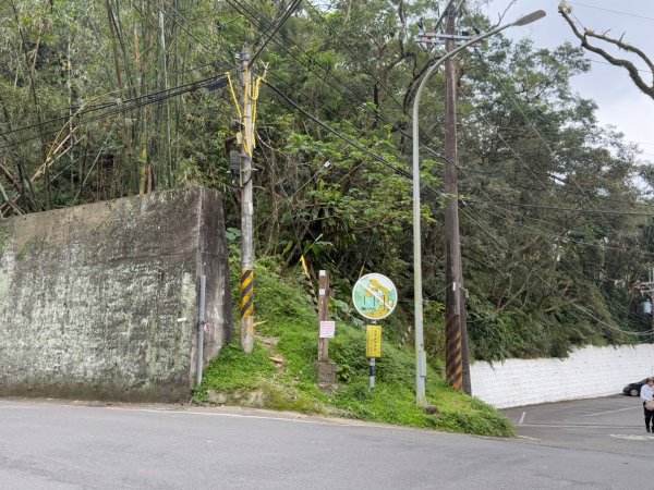 2025元旦 新店獅頭山（小獅山）順遊 高麗坑山，員潭子坑山，待荖坑山，樟湖山，樟山 出政大2680976