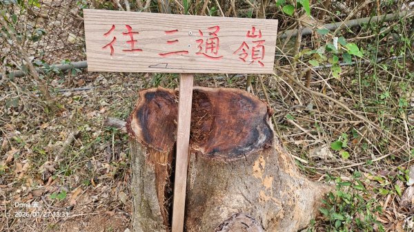 20260127三通嶺山.三義山(大桁茂山).慈濟山.大坪山大O走2989977