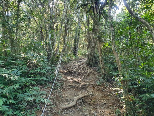 帽子山步道1237742