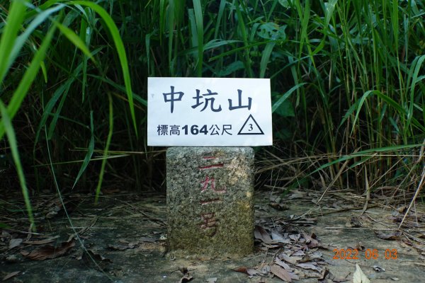 嘉義 大林 中坑山1729808