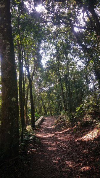 出關古道關刀山步道1584803
