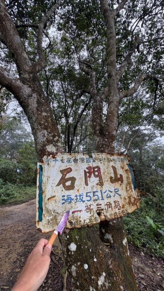 太、清、石2994655