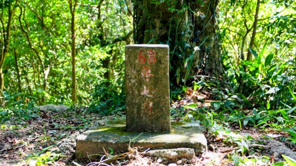 黃櫸皮寮山2898299