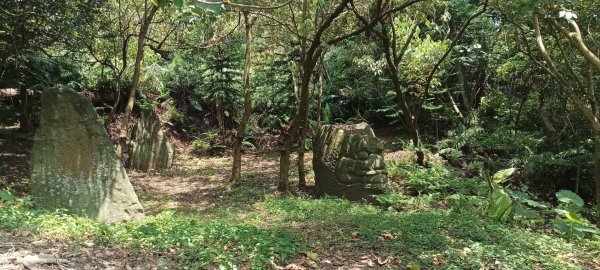 臺北大縱走第五段，劍潭站至碧山巖 【年輕人爬山趣】2761791