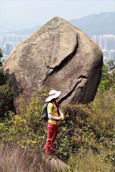 HK - 九徑山1499584