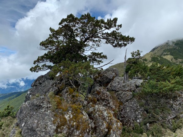 20220625台東海端向陽山、向陽山北峰、三叉山、嘉明湖1745483