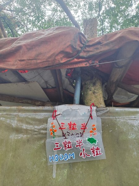 微笑山線之望月亭段2849034