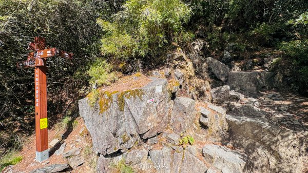 玉山前峰淨山紀錄2968420