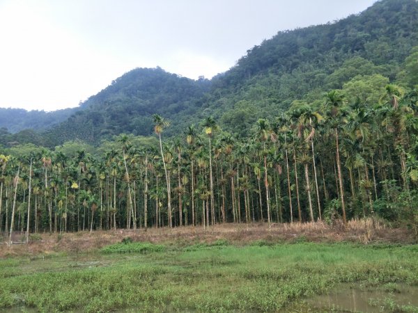 天池歩道-龜形山1452019