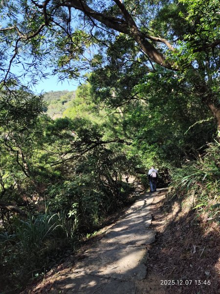 【臺北大縱走 5】碧山巖→忠勇山越嶺步道→金龍產業道路→圓明寺步道→鄭成功廟→潛園→格物台→劍潭古寺2958971